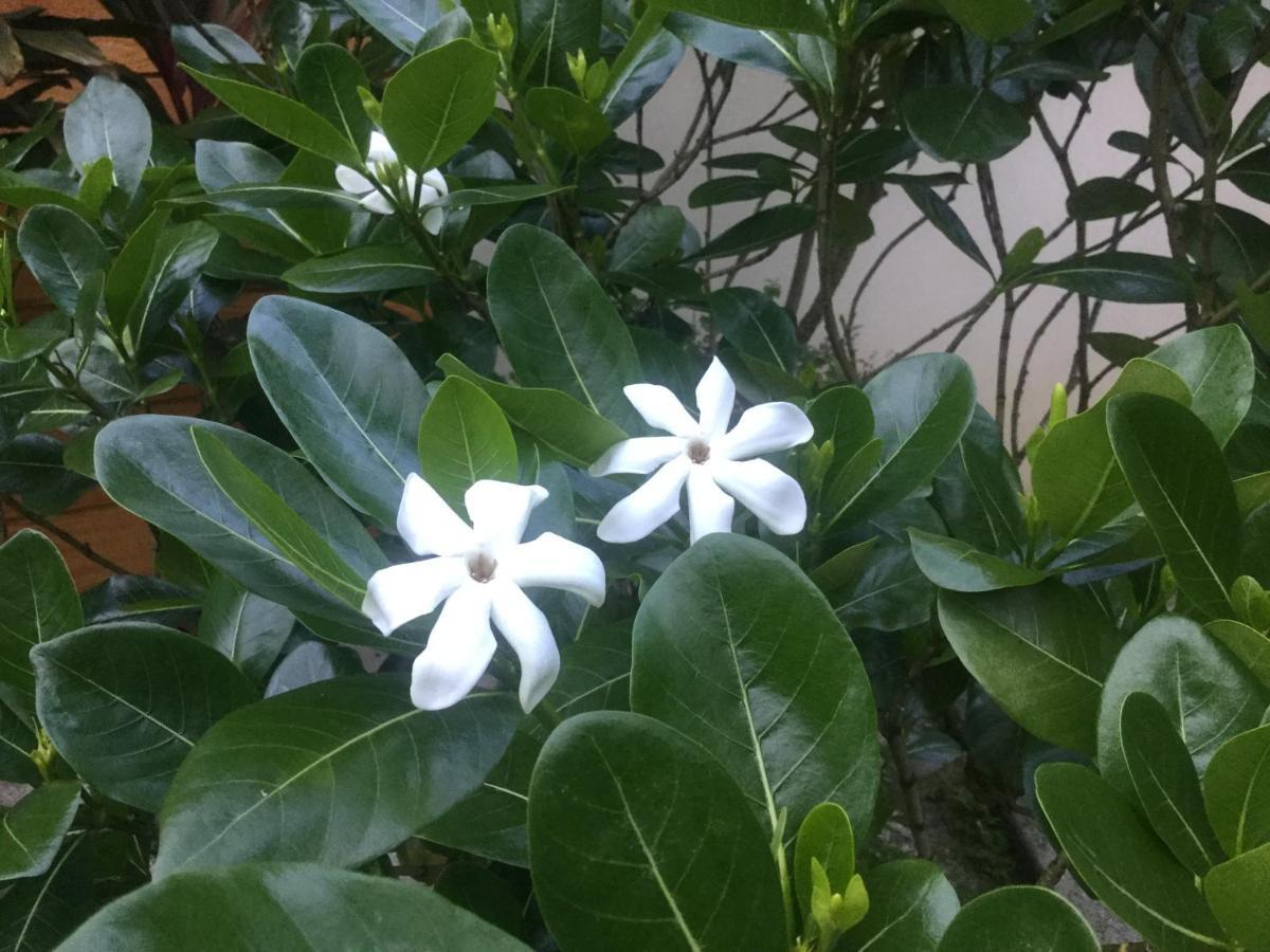 Opoa Raiatea Sur Mer מראה חיצוני תמונה